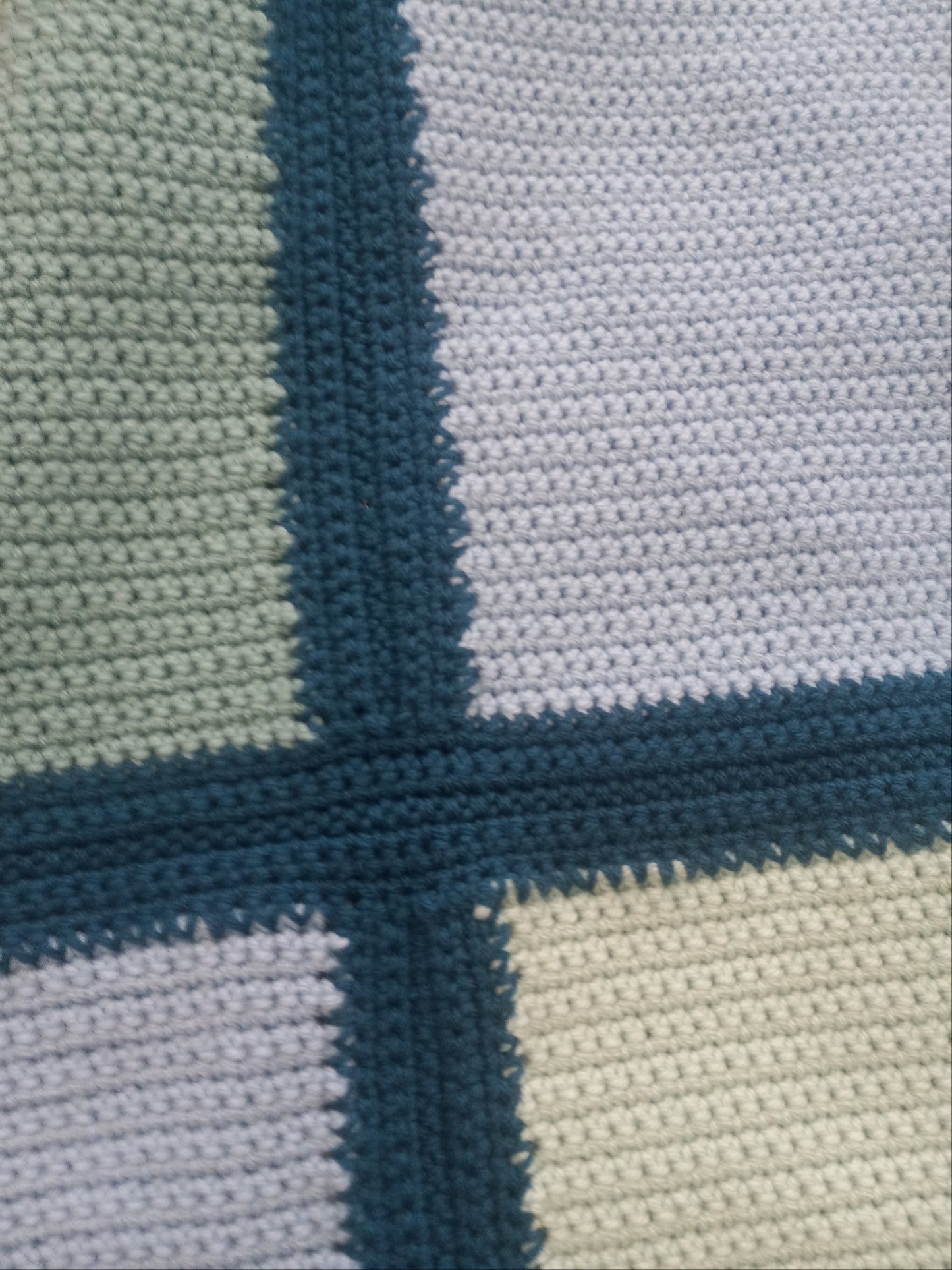 Dragonfly Twin Blanket