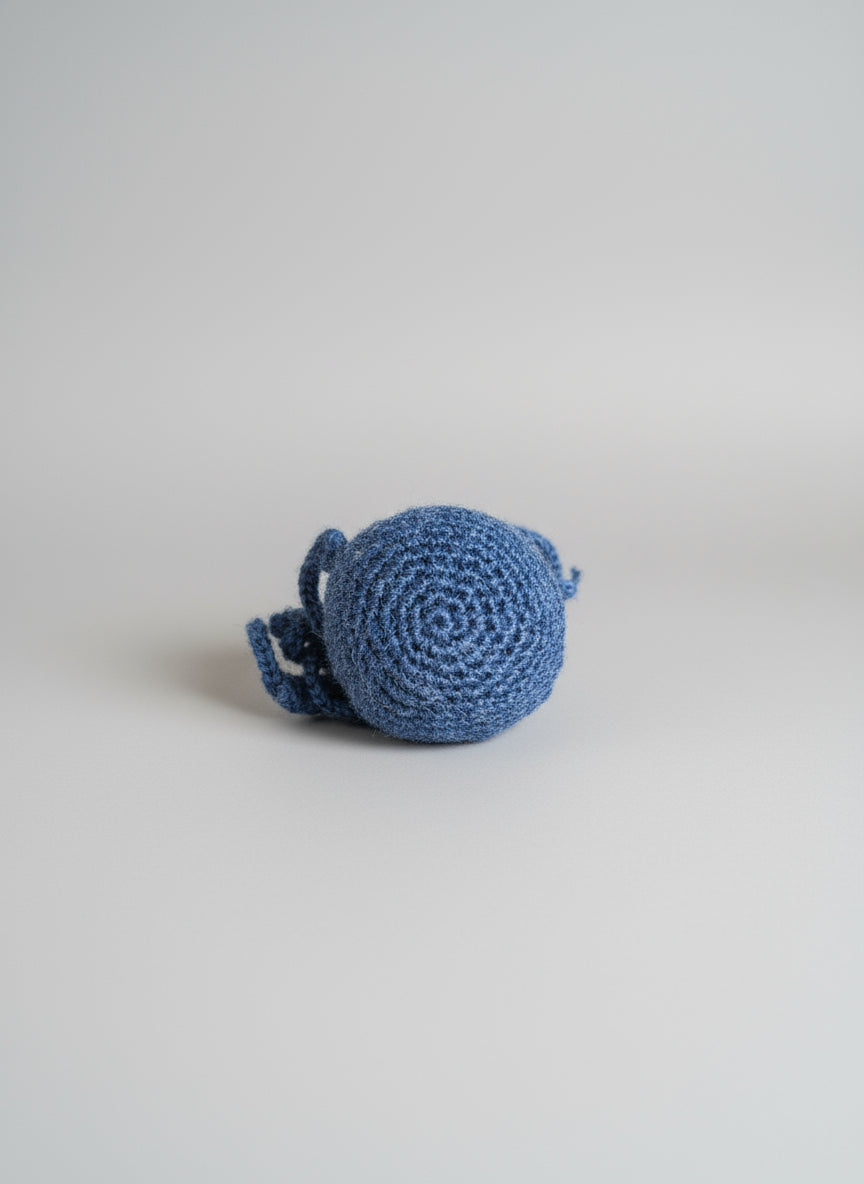 Small Jellyfish