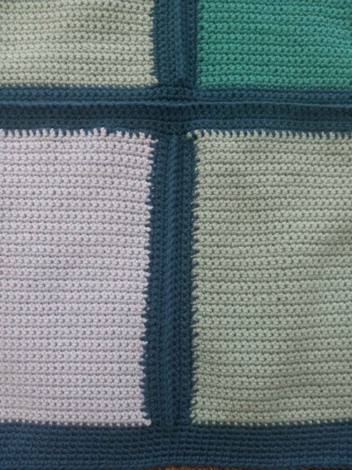 Dragonfly Twin Blanket